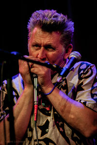 Muzikant speelt harmonica op het podium, gekleed in een shirt met sterrenpatroon.