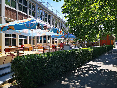 Een schoolplein met kleurrijke parasols en zithoekjes onder een boom, omgeven door een lage haag.