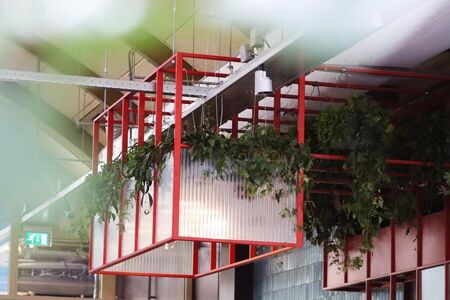 Hanging planter in a modern indoor space with green plants and a red metal frame.